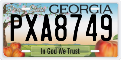 GA license plate PXA8749