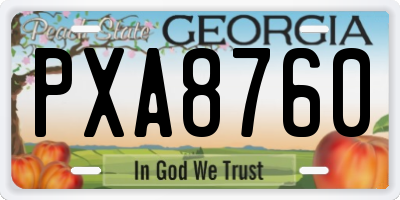 GA license plate PXA8760