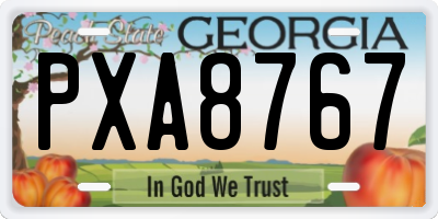GA license plate PXA8767