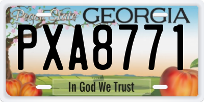 GA license plate PXA8771