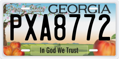 GA license plate PXA8772
