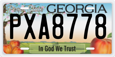 GA license plate PXA8778