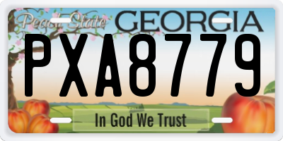 GA license plate PXA8779