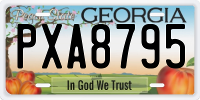 GA license plate PXA8795