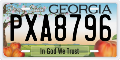 GA license plate PXA8796
