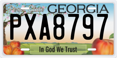GA license plate PXA8797