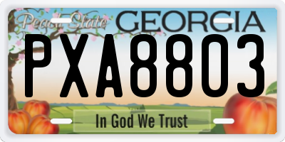 GA license plate PXA8803