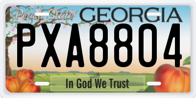 GA license plate PXA8804