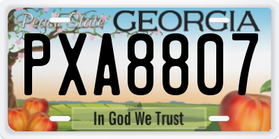 GA license plate PXA8807