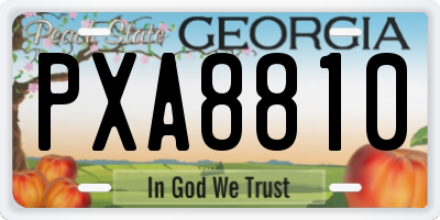 GA license plate PXA8810