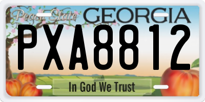 GA license plate PXA8812