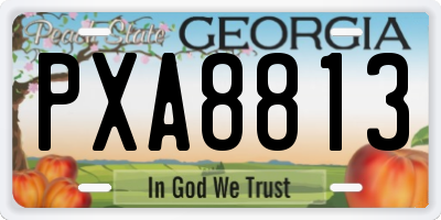 GA license plate PXA8813