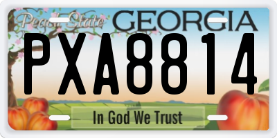 GA license plate PXA8814