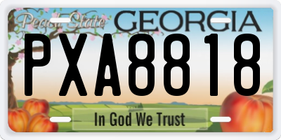 GA license plate PXA8818