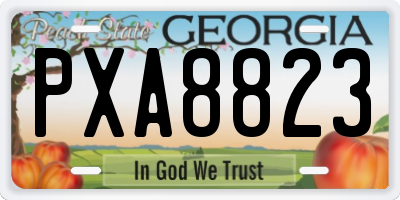 GA license plate PXA8823