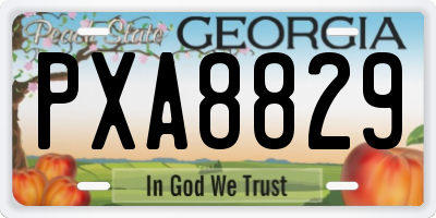 GA license plate PXA8829