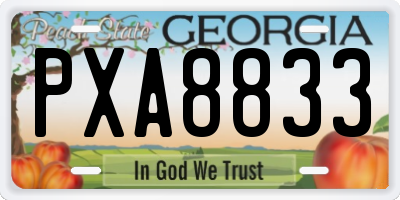 GA license plate PXA8833