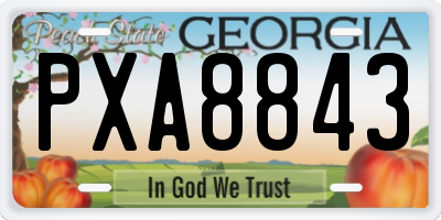 GA license plate PXA8843