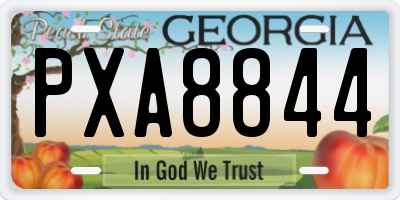 GA license plate PXA8844