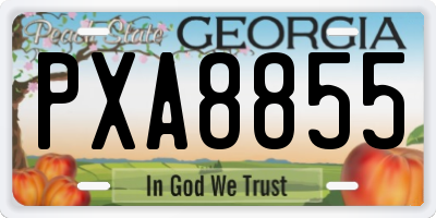 GA license plate PXA8855