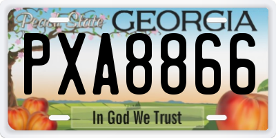 GA license plate PXA8866