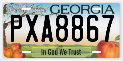GA license plate PXA8867