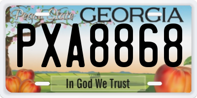 GA license plate PXA8868