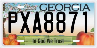 GA license plate PXA8871