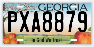GA license plate PXA8879