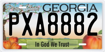 GA license plate PXA8882
