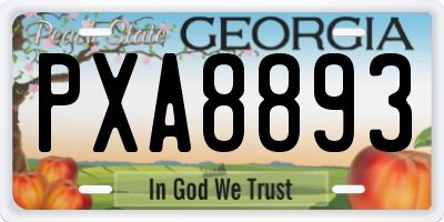 GA license plate PXA8893