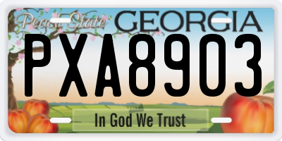 GA license plate PXA8903