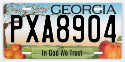 GA license plate PXA8904