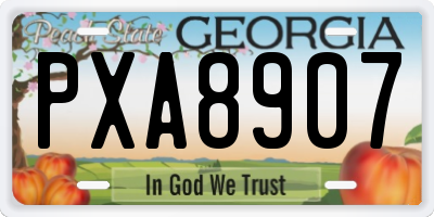 GA license plate PXA8907