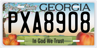 GA license plate PXA8908