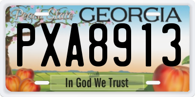 GA license plate PXA8913