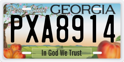 GA license plate PXA8914