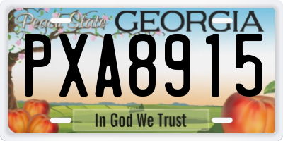 GA license plate PXA8915