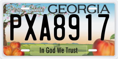 GA license plate PXA8917