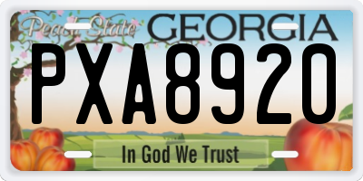 GA license plate PXA8920