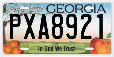 GA license plate PXA8921