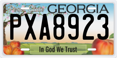 GA license plate PXA8923