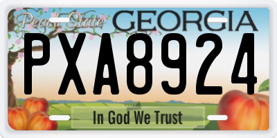 GA license plate PXA8924