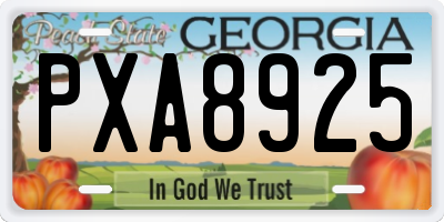 GA license plate PXA8925