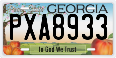GA license plate PXA8933