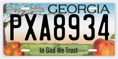 GA license plate PXA8934