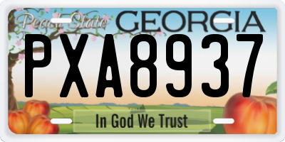 GA license plate PXA8937