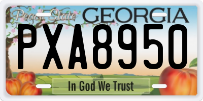 GA license plate PXA8950