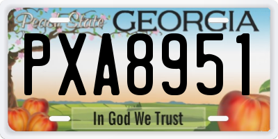 GA license plate PXA8951