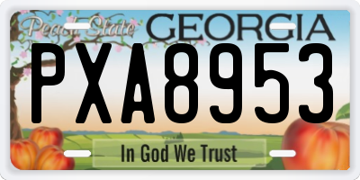 GA license plate PXA8953